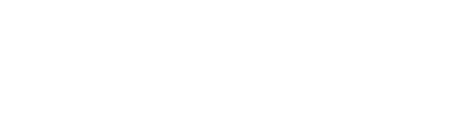 BNP Paribas Logo